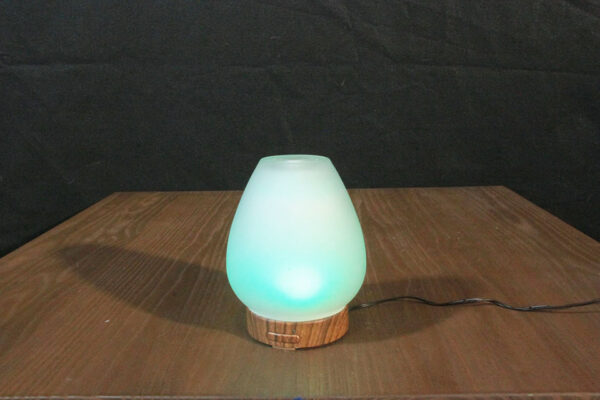 Chesapeake Bay LED Color Changing Oil Diffuser - Image 7