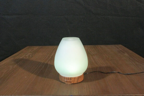 Chesapeake Bay LED Color Changing Oil Diffuser - Image 5