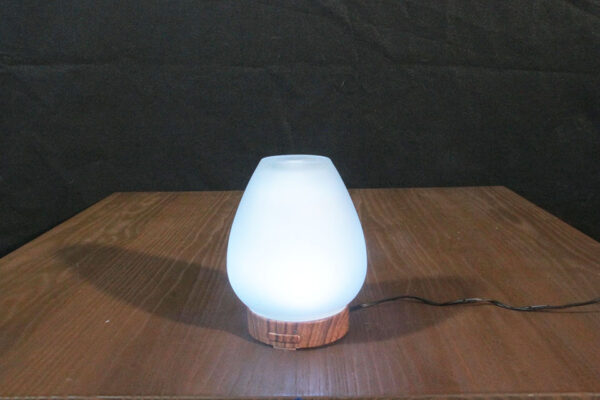 Chesapeake Bay LED Color Changing Oil Diffuser - Image 2