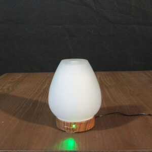 Chesapeake Bay LED Color Changing Oil Diffuser