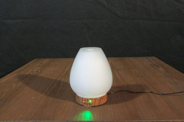Chesapeake Bay LED Color Changing Oil Diffuser