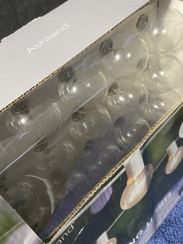 Ashland 30-Count Globe Style String Lights - Image 3