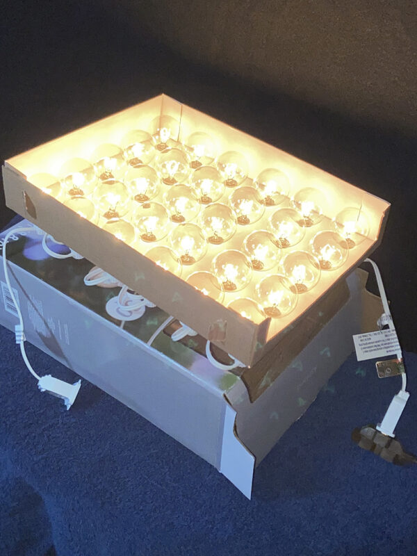 Ashland 30-Count Globe Style String Lights - Image 4
