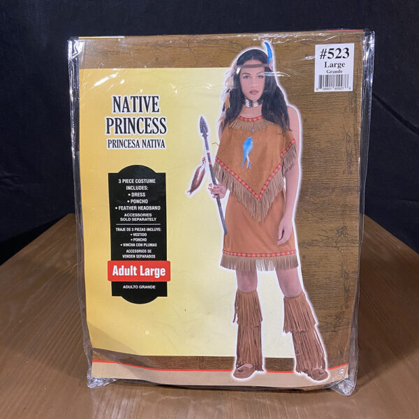 Halloween Native Princess Costume (Adult Large)